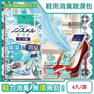 Hakugen Shoes Dehumidifier Bag 22gx4