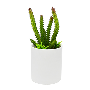 【YU Living】 迷你仿真仙人掌植物盆栽