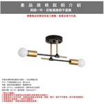 [Honey Comb]工業風半吸頂二燈臥室半吸頂燈(KC2159-1), , large