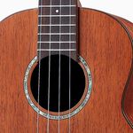 instrument, , large