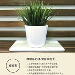 Diatomaceous earth, , large