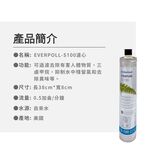 【麗水生活】EVERPURE 愛惠浦S-100愛惠浦S-100 濾心-美國原裝進口濾心 餐飲業界用濾心, , large