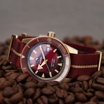 RADO 雷達 庫克船長青銅自動機械腕錶-42mm R32504407, , large