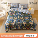 PETER RABBIT, , large