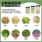 [Ball®專屬配件WildJar] 窄口專用不鏽鋼發芽網蓋組純瓶蓋 Stainless Steel Sprouting Lids Jar Kit for Regular Mouth mason jar 發芽罐 發芽瓶 發芽梅森罐 過篩網片 不鏽剛網狀發芽蓋, , large