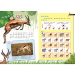 Play&LEARN, , large