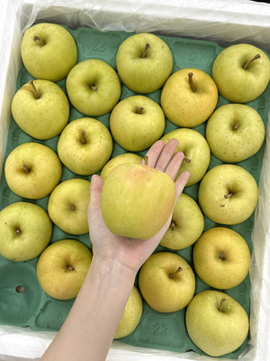 Japanese Toki Apple
