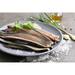 dorsal_fin