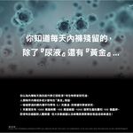 【AREXSPORT台灣製】P030 抑菌內褲 中高腰青春款 女內褲 無痕內褲 運動內褲 台灣製 抑菌三角內褲 涼爽吸排, , large