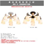 Lighting, , large