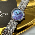 [TIMEMASTER] COACH watch, 28mm, CH00251, , large