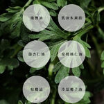 【Sakido】祈福馬油平安皂 手工沐浴皂, , large