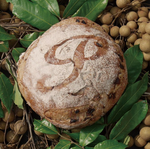 帕莎蒂娜 酒釀桂圓麵包, , large