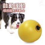金德恩 GS MALL 台灣製造 寵物飼料點心盒 寵物雞蛋球 雞蛋球盒 點心盒 飼料盒 容器 飼料盒 LIXIT 雞蛋球造型, , large