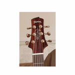 instrument, , large