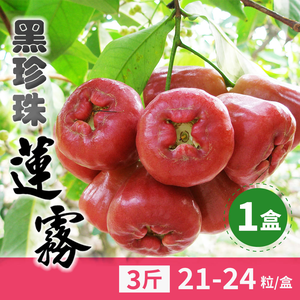 【HBS】Pingtung Black Pearl Wax Apple 3 catties (21-24 pieces/box)
