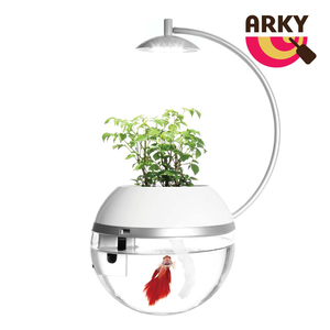 ARKY 香草與魚 鬥[桃品國際]