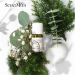 【ScentMûes森繆斯】光影系列 雪松檜木純精油 10ml (芬多精木質香), , large