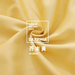 【Darphia 朵法亞】棉眠兩用被(套)_芥黃土星, , large