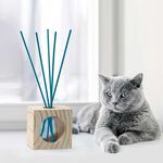CRISTLINAS WOODEN CUBE AIR REFRESHENER (PET)- FRESH AIR, , large