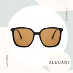 南柚棕復古風格輕量橢圓方框墨鏡/UV400太陽眼鏡〔ALEGANT〕, , large