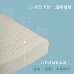 ［熊棉］自然呵護乳膠健康枕, , large