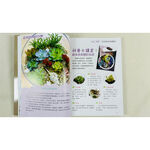 《南門書局》多肉植物系列2本, , large