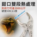 【TOPWAY】10吋 暴龍鉗 精品萬能鉗 葫蘆嘴 大力鉗 固定鉗 夾鉗 鯉魚鉗 萬能固定鉗 固定夾持, , large