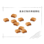 Royal Canin Poodle Puppy PDP, , large