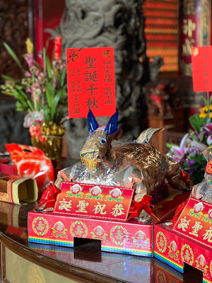 [老食說]淨香羊(1尺3)