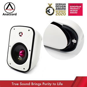 Anaccord雅那歌音響 DC-01-B6-T 6inch RUBY  IPX66 waterproof desktop wall mount speakers 30W 1pair