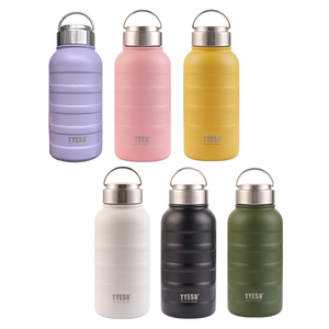 【H&R安室家】TYESO泰碩  304不鏽鋼毛毛蟲保溫瓶750ml(H02)