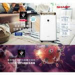SHARP 夏普 12L 1級自動除菌離子清淨除濕機 DW-L12FT-W, , large