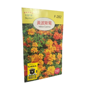 【向花緣】天星牌 黃波斯菊 - 花卉種子