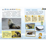 [小牛頓]PLAY&LEARN：極地旅行 適合5-8歲 平裝全彩 高階遊戲書, , large