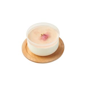 Sakura Panna Cotta Cup