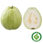 TAP Pearl Guava/bag, , large