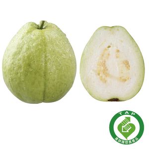TAP Pearl Guava/bag