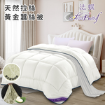 【FlowerButterf】Natural Brushed Gold Silk Quilt 2.5Kg (Quilt/Quilt/Silk Quilt/Four Seasons Quilt) (FB0008-W25), , large
