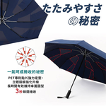 記憶迅收自動傘-2支, , large