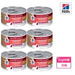 【Hills 希爾思】成貓水煮鮭魚燴菠菜健康美饌主食罐 79gX6罐/盒(10448), , large