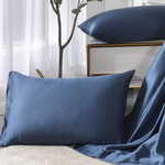 【Betrise】Sky Blue | C Energy Series 60 Count 100% Pure Tencel Light Quenched Graphene Cotton Quilt/Four Seasons Quilt 5X6.5 feet per piece (extra size will give you 2 pillowcases of the same style), , large