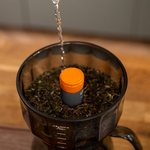 CT10006+CT20001, , large