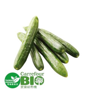 CFBIO Cucumber