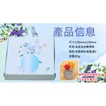 金德恩 GS MALL 魔術矽膠花瓶 貼式花瓶 花瓶 創意花瓶 壁貼式花瓶 盆栽花瓶 花器 魔術花瓶 矽膠花瓶 壁貼式 創意花瓶, , large