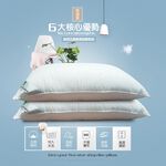 金德恩 GS MALL 台灣製造 超值二入 頂級可水洗羽絲絨枕 蓬鬆枕 透氣枕 柔軟枕 羽絲絨枕 絲絨枕 水洗 枕頭 寢具 枕頭套, , large