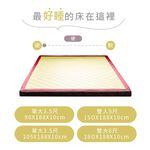 台灣製【藤原傢俬】冬夏兩用護背防螨抗菌10 cm彈簧床墊-硬, , large