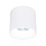 DanceLight舞光 10W 神盾筒燈 光束角36度 壓鑄鋁散熱快 全電壓 一體成形 時尚白/貴族黑(白光/黃光/自然光), , large