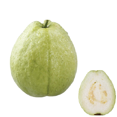 履歷燕巢珍珠芭樂1KG/袋