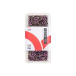 Purple cabbage seedling, , large